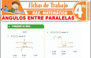 Problemas de Probabilidades para Cuarto de Secundaria – Fichas