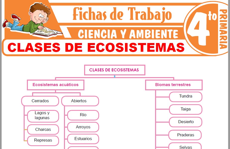 Modelos de la Ficha de Clases de ecosistemModelos de la Ficha de Clases de ecosistemas para Cuarto de Primariaas para Cuarto de Primaria