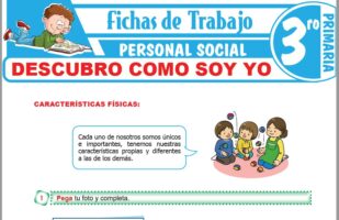 Normas para convivir en armonía para Tercero de Primaria – Fichas de ...