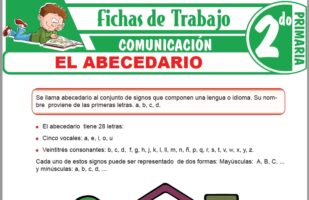 Uso de la V para Segundo de Primaria – Fichas de Trabajo