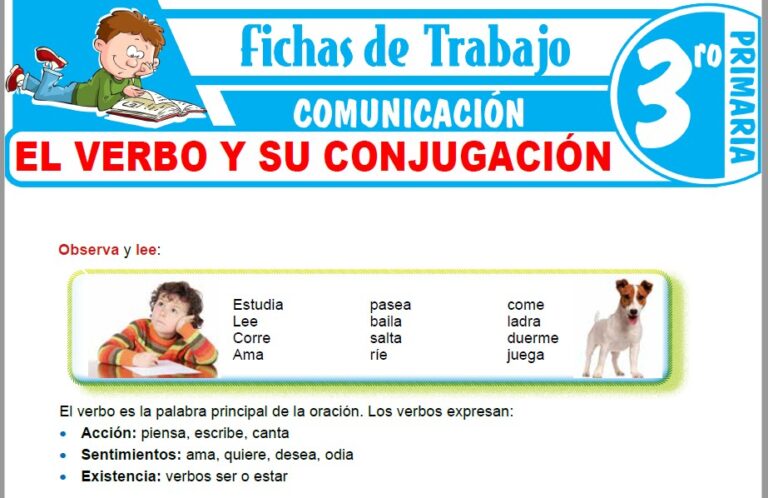 Uso de la C, S y Z para Tercero de Primaria – Fichas de Trabajo