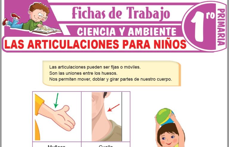 El aire para niños para Primero de Primaria – Fichas de Trabajo