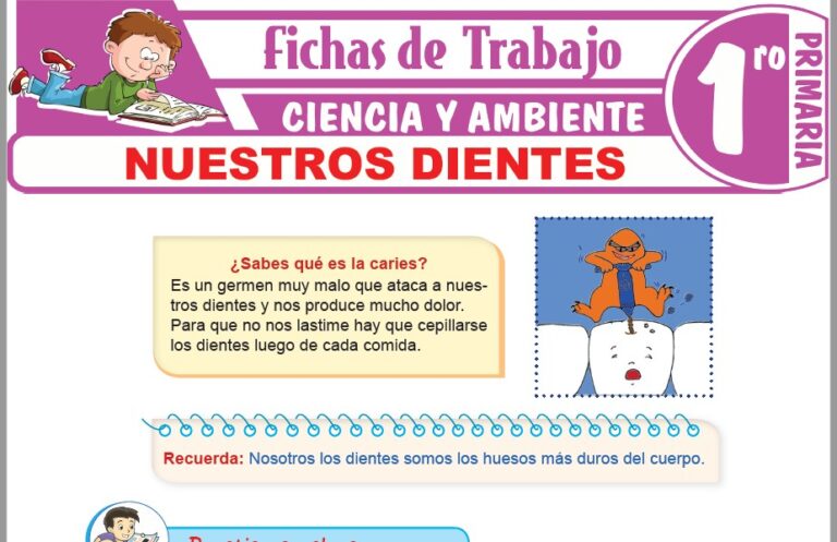 Los sentidos para Primero de Primaria – Fichas de Trabajo