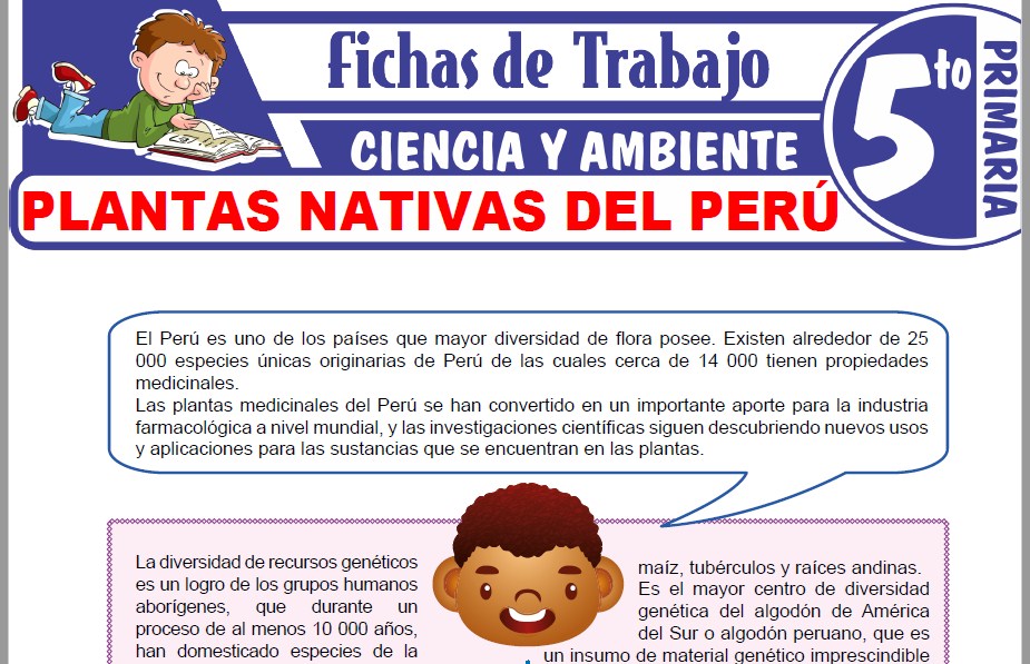 Modelos de la Ficha de Plantas nativas del Perú para Quinto de Primaria