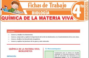 Química de la materia viva para Cuarto de Secundaria – Fichas de Trabajo