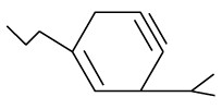 Modelos de la Ficha de Química orgánica para Cuarto de Secundaria