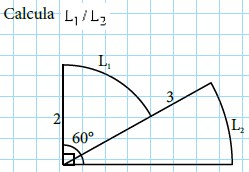 Modelos de la Ficha de Longitud de arco para Tercero de Secundaria