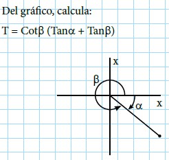 Modelos de la Ficha de Ángulo en posición normal para Cuarto de Secundaria