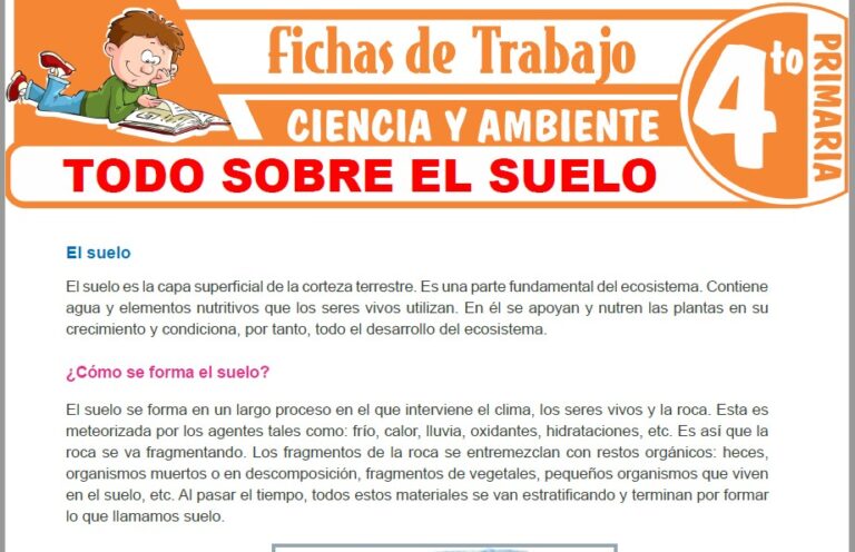 Todo sobre el suelo para Cuarto de Primaria – Fichas de Trabajo